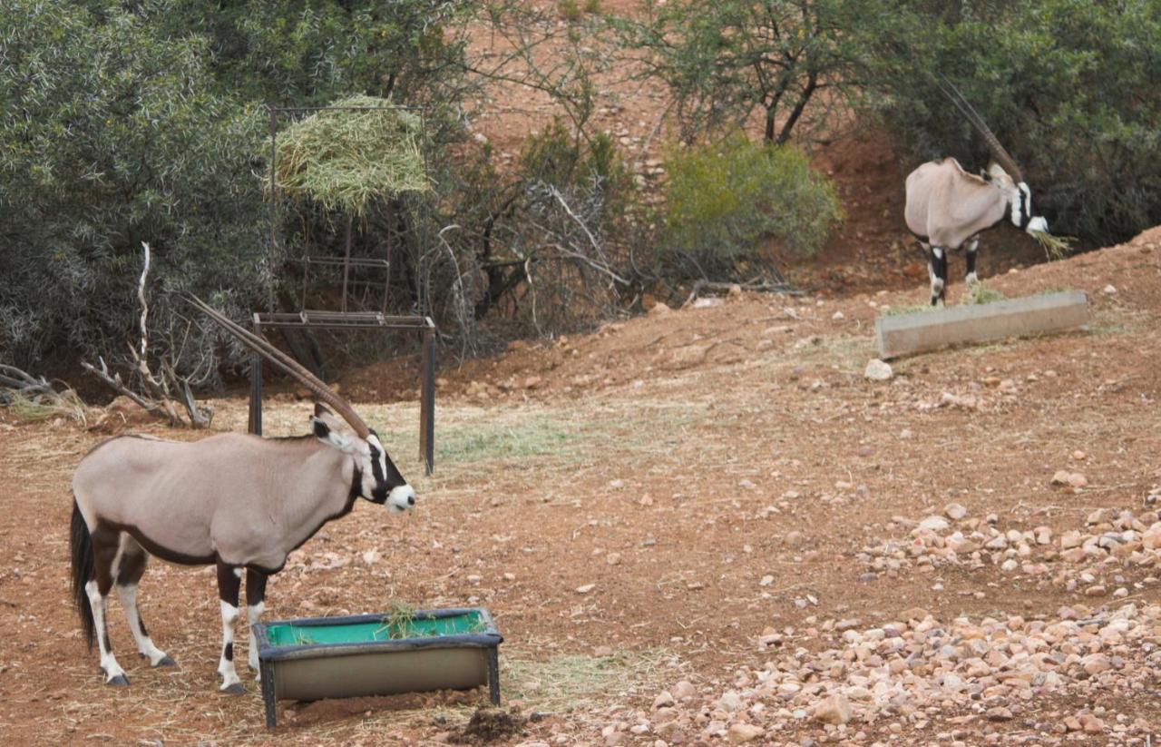 Zwartberg View Mountain Lodge Oudtshoorn Buitenkant foto